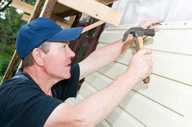 Best Engineered Wood Siding  in Mayer, AZ