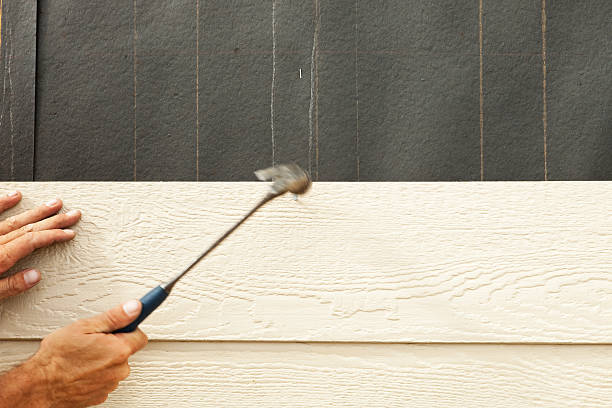 Best Siding Removal and Disposal  in Mayer, AZ